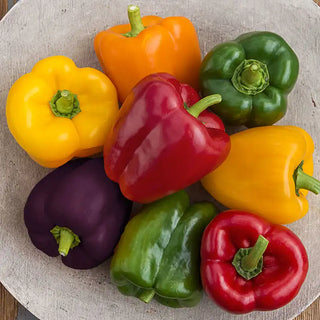 Sweet Pepper Seeds