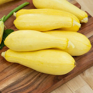 Squash - Summer