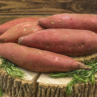 Covington Sweet Potato
