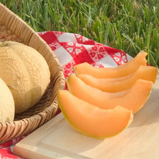 Gurney's® Li'l Sweet Improved Hybrid Cantaloupe Seed