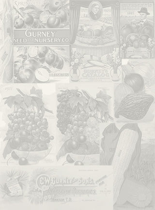 The Story of Gurney’s Starts Small....