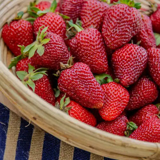 Strawberries