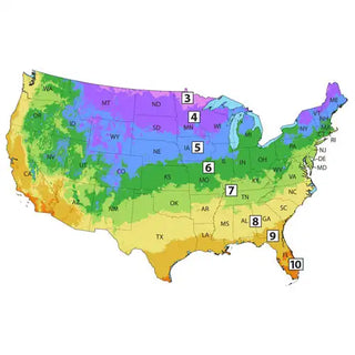 Zone Finder
