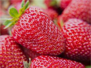 Top Spring Fruits