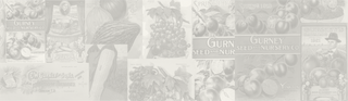 The Story of Gurney’s Starts Small....